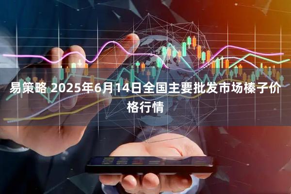 易策略 2025年6月14日全国主要批发市场榛子价格行情
