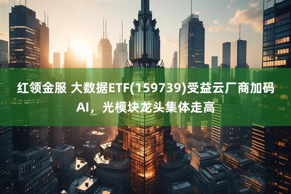 红领金服 大数据ETF(159739)受益云厂商加码AI，光模块龙头集体走高