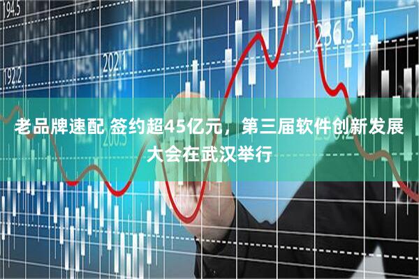 老品牌速配 签约超45亿元，第三届软件创新发展大会在武汉举行