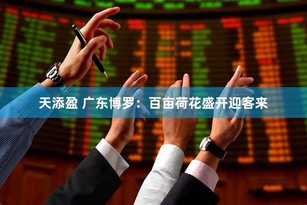 天添盈 广东博罗：百亩荷花盛开迎客来