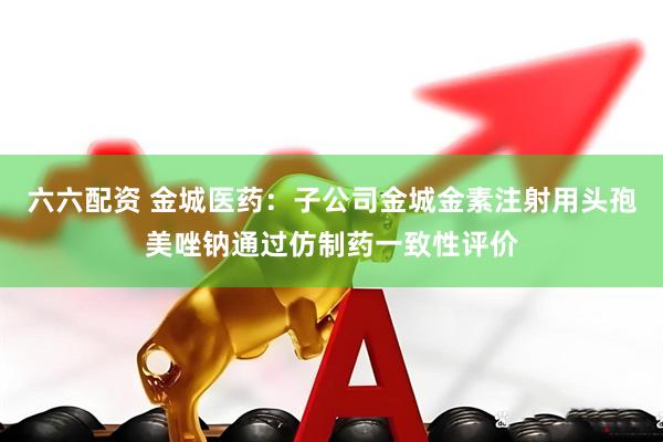 六六配资 金城医药：子公司金城金素注射用头孢美唑钠通过仿制药一致性评价