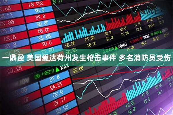 一鼎盈 美国爱达荷州发生枪击事件 多名消防员受伤