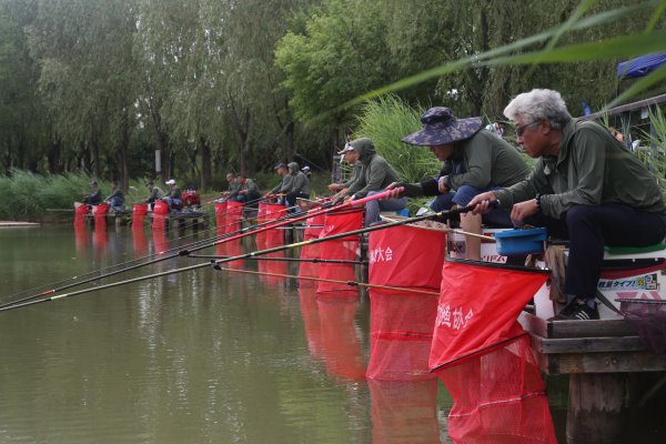 盒马配资 北京市体育大会暨京张大众钓鱼联谊赛总决赛举行