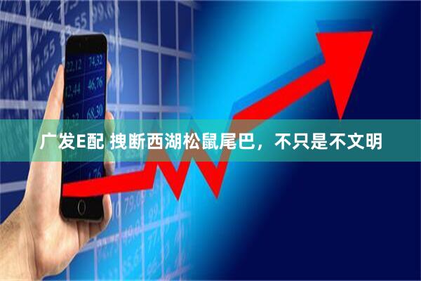 广发E配 拽断西湖松鼠尾巴，不只是不文明