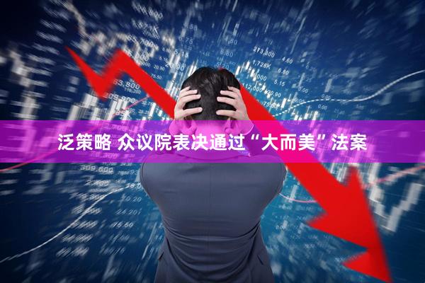 泛策略 众议院表决通过“大而美”法案