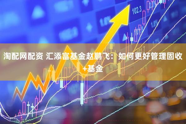 淘配网配资 汇添富基金赵鹏飞：如何更好管理固收+基金