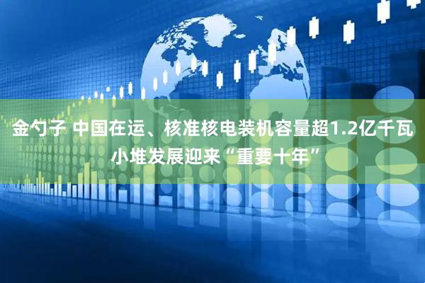 金勺子 中国在运、核准核电装机容量超1.2亿千瓦 小堆发展迎来“重要十年”