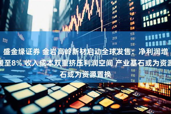 盛金缘证券 金岩高岭新材启动全球发售：净利润增速放缓至8% 收入成本双重挤压利润空间 产业基石或为资源置换