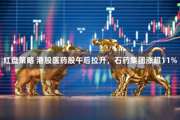 红盘策略 港股医药股午后拉升，石药集团涨超11%